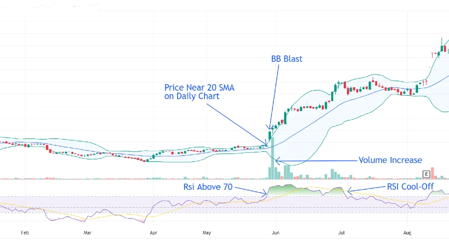 Daily Chart