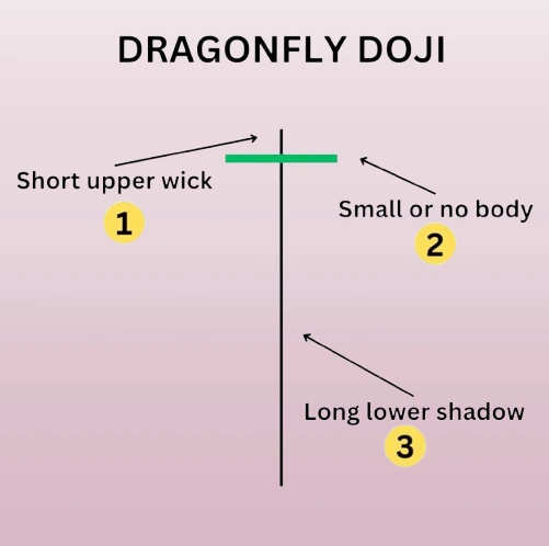 Dragonfly Doji candlestick with a long lower shadow and almost no upper shadow